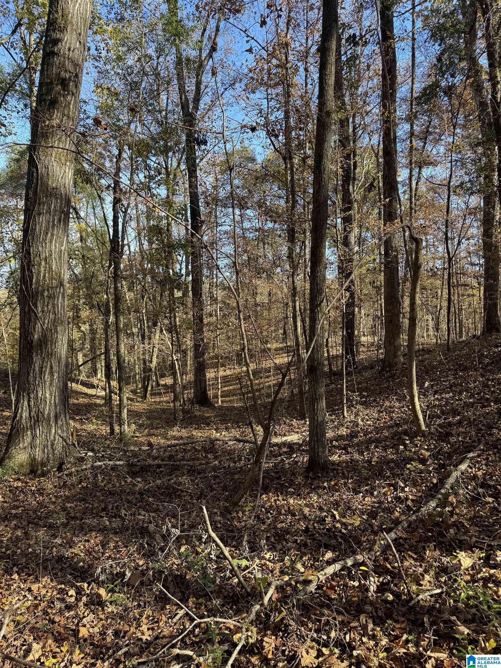 2270 BIRMINGHAM ROAD 3