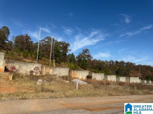 1110 RANCH MARINA ROAD 6 lot AV