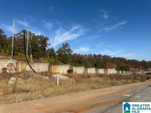 1110 RANCH MARINA ROAD 6 lot AV PELL CITY AL 35128