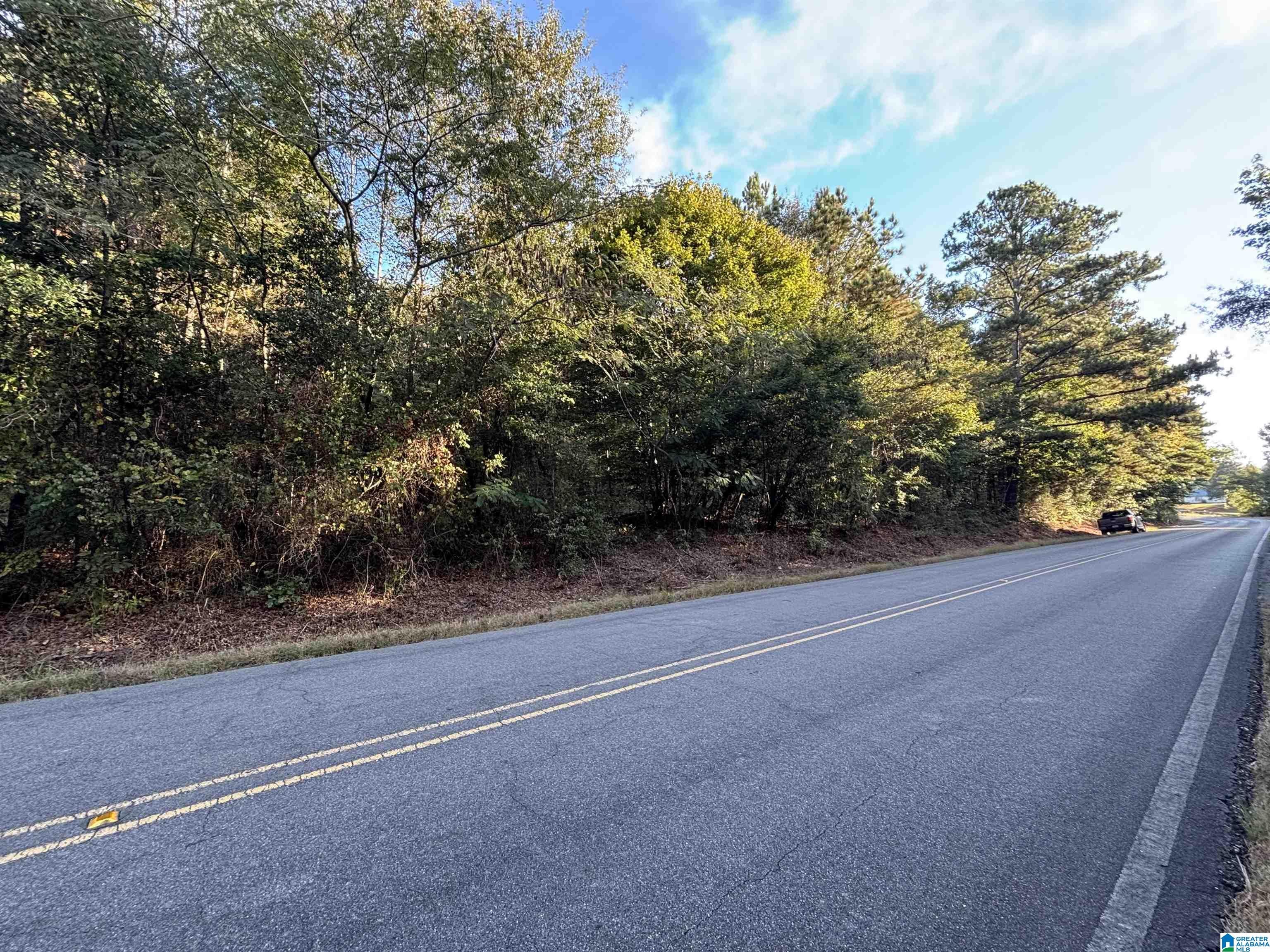 SHOAL CREEK ROAD 14+/- Acres