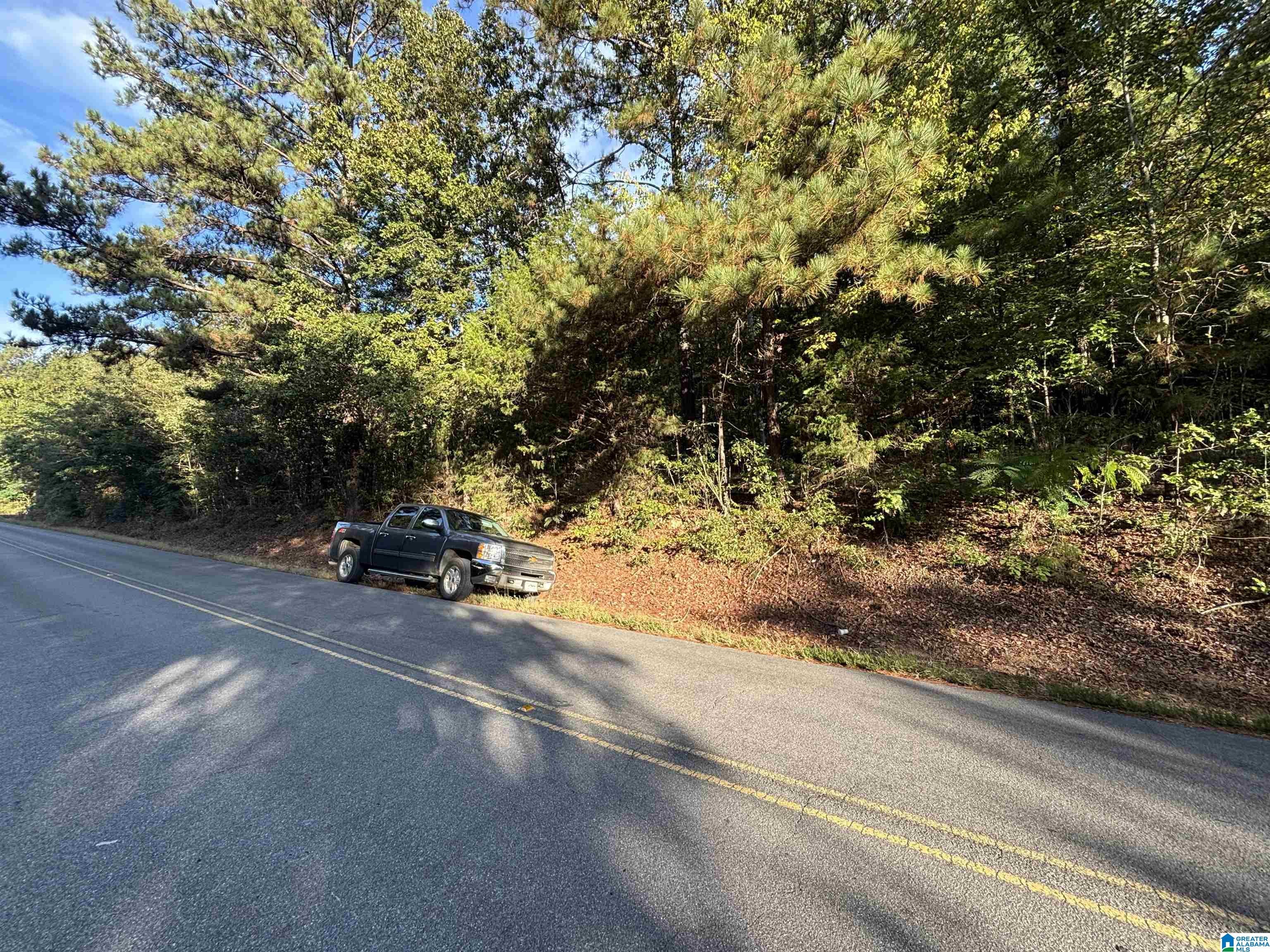 SHOAL CREEK ROAD 14+/- Acres