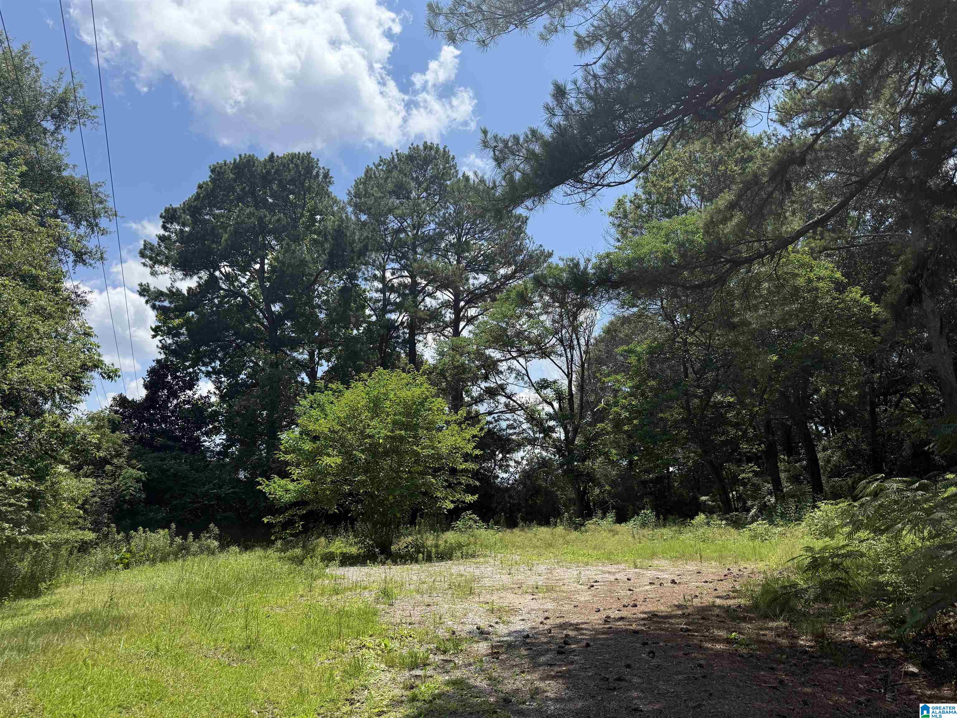 Photo 1 of 1 — 141 HIGHWAY 231 1.5, VINCENT, AL 35178
