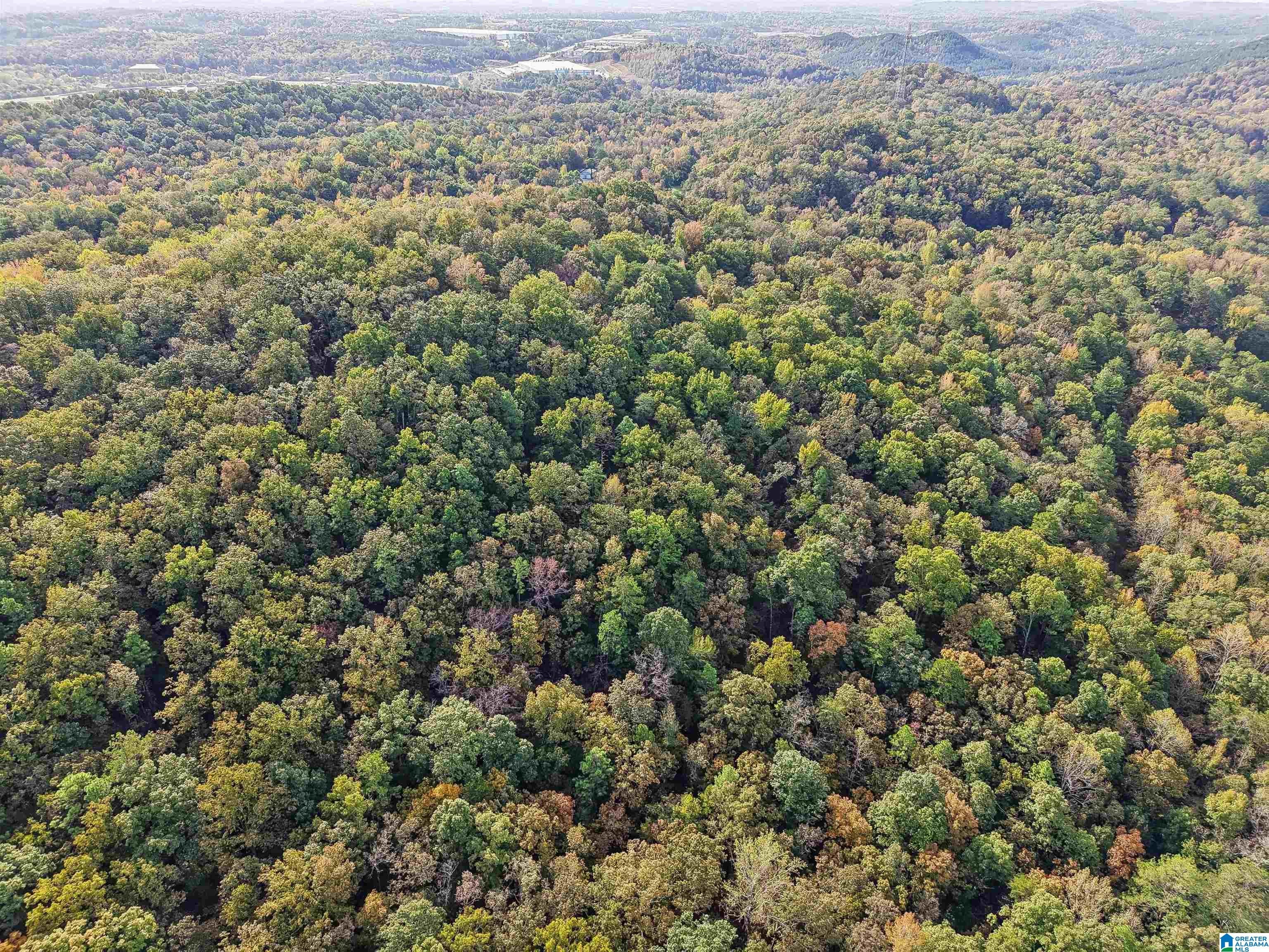 3530 TIMBERLAKE ROAD 0