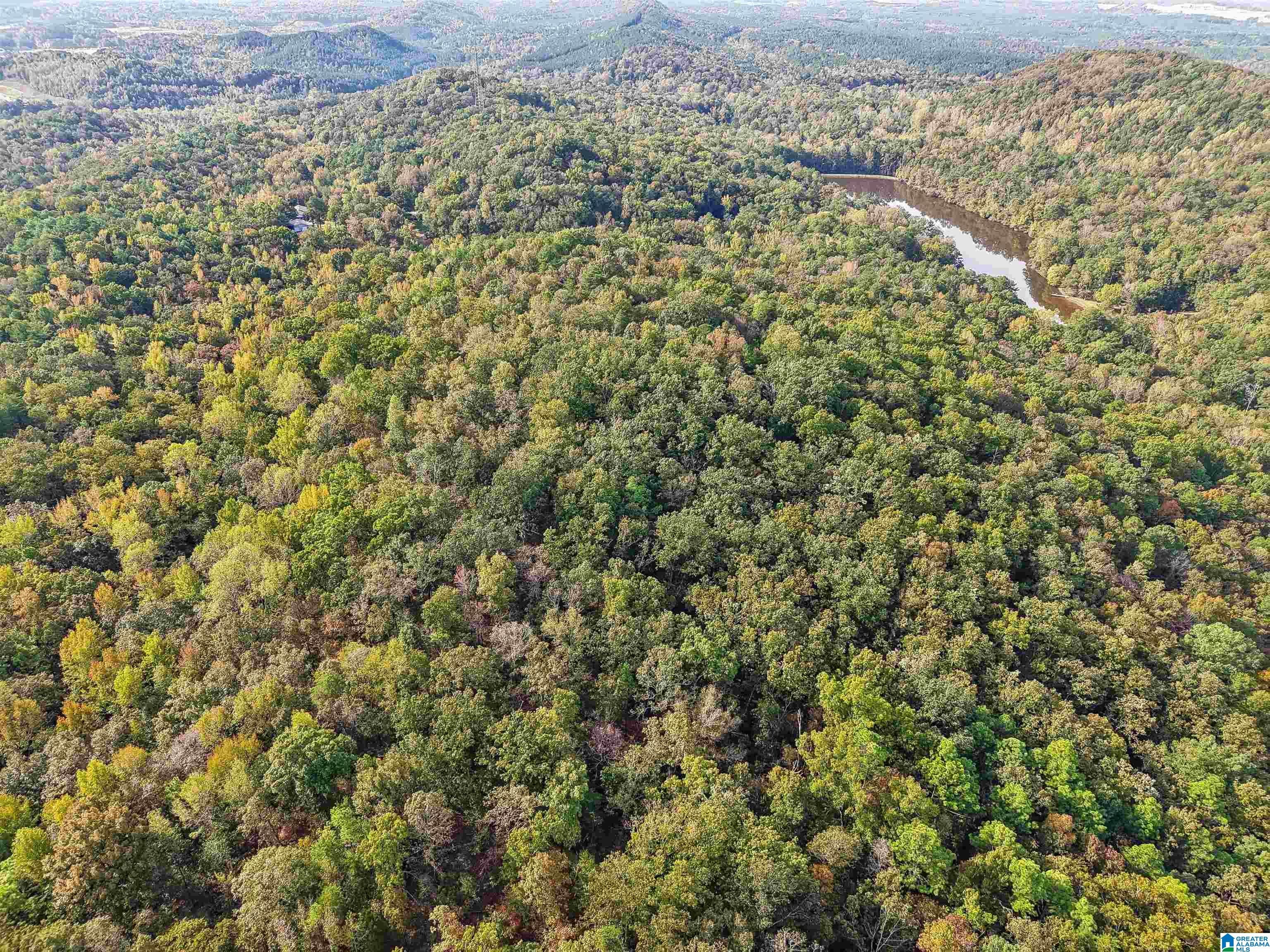 3530 TIMBERLAKE ROAD 0