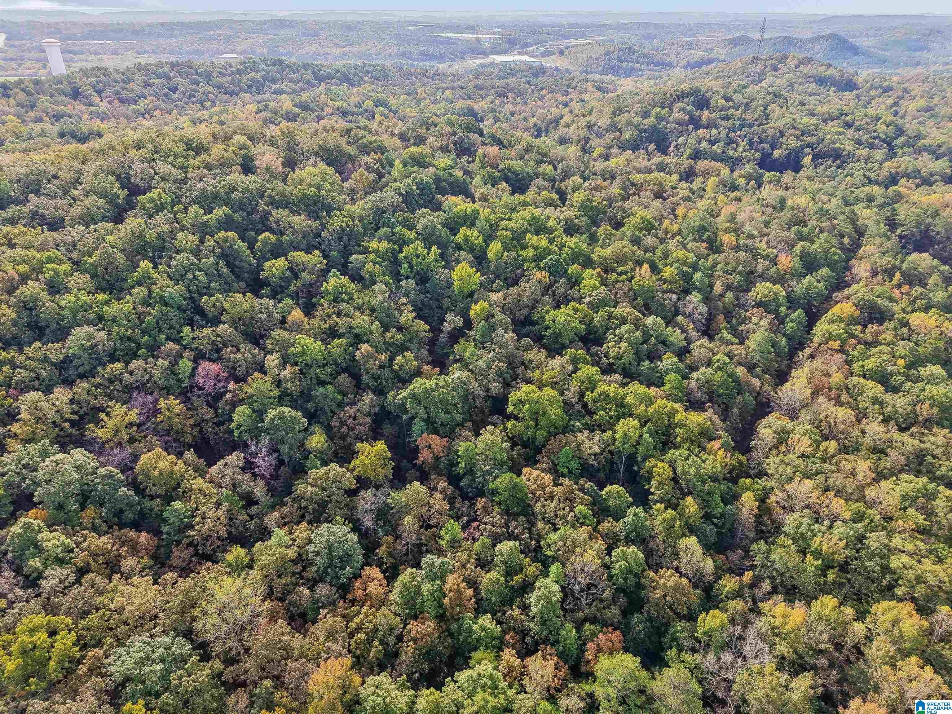 3530 TIMBERLAKE ROAD 0