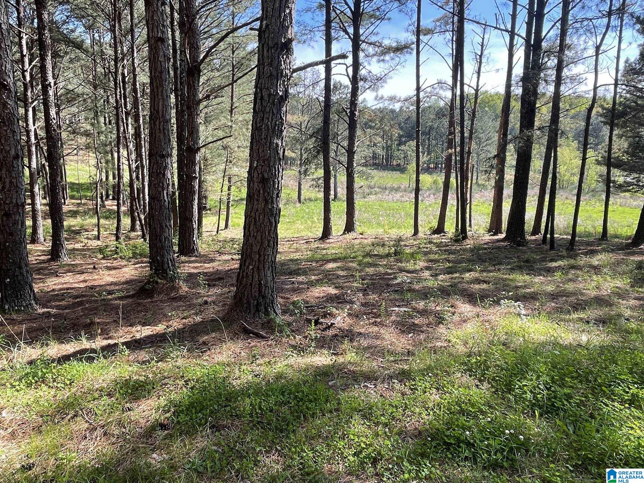 0 BUSBY CUT OFF ROAD 0