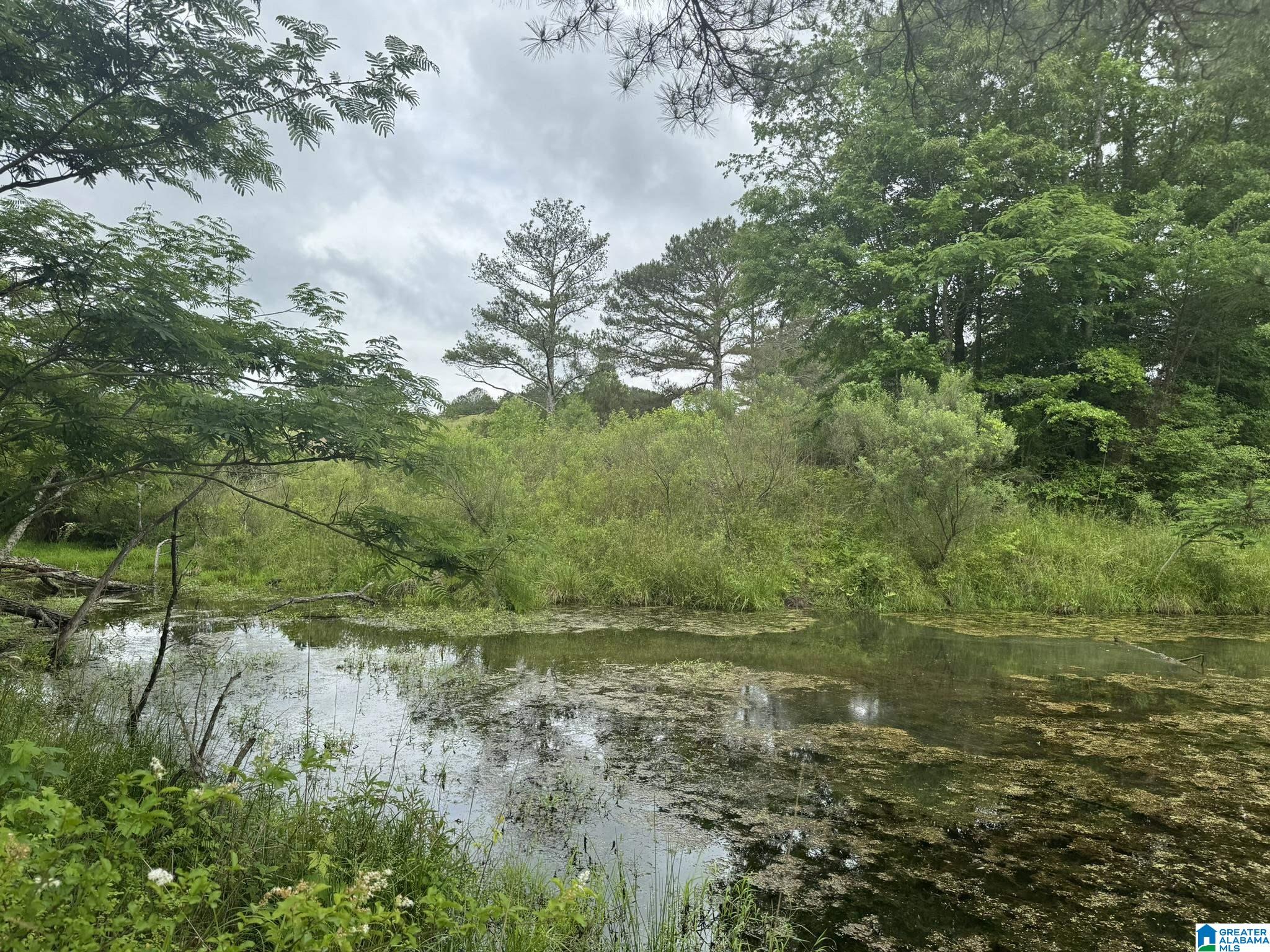 0 BUSBY CUT OFF ROAD 0