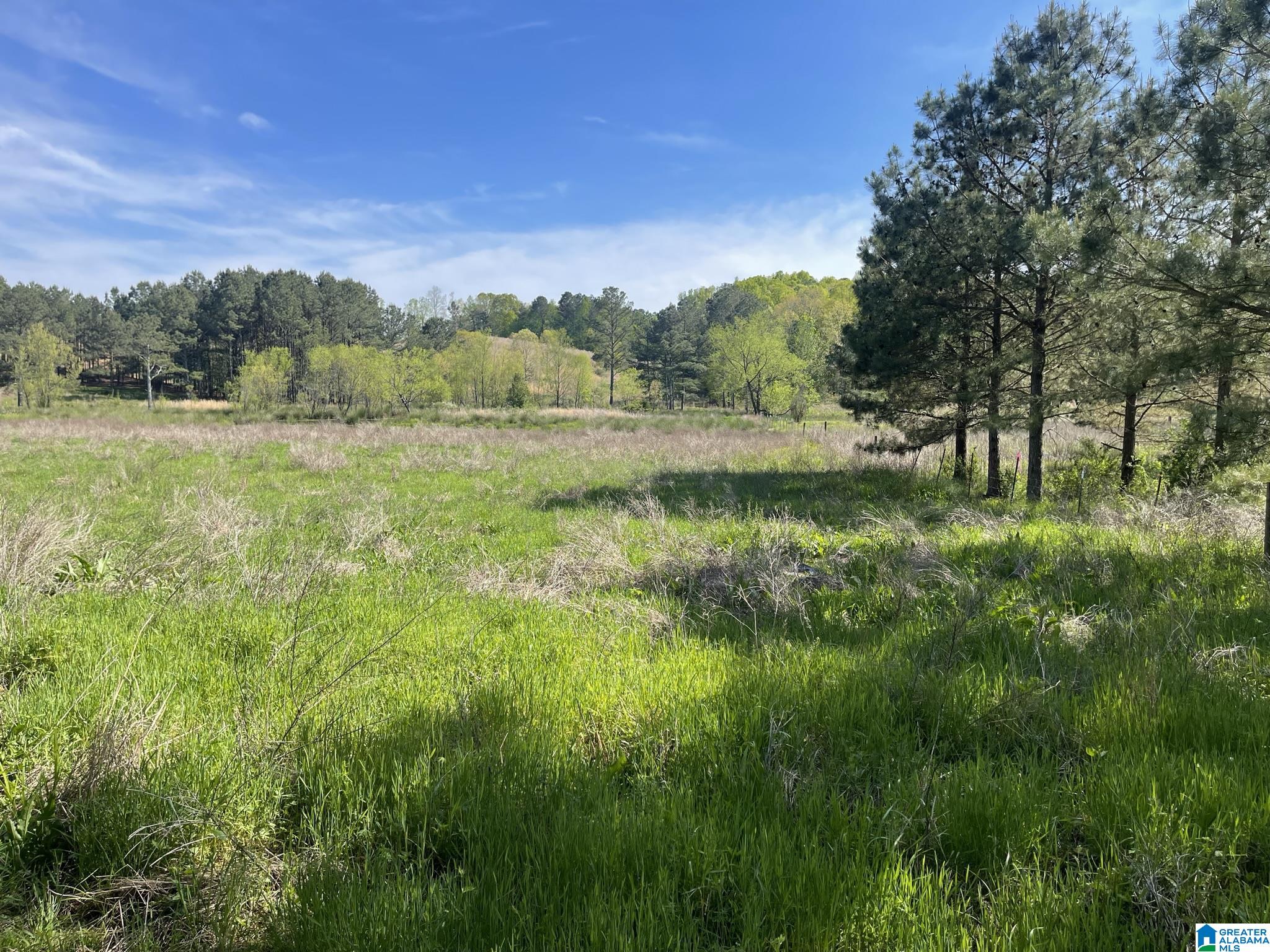 0 BUSBY CUT OFF ROAD 0