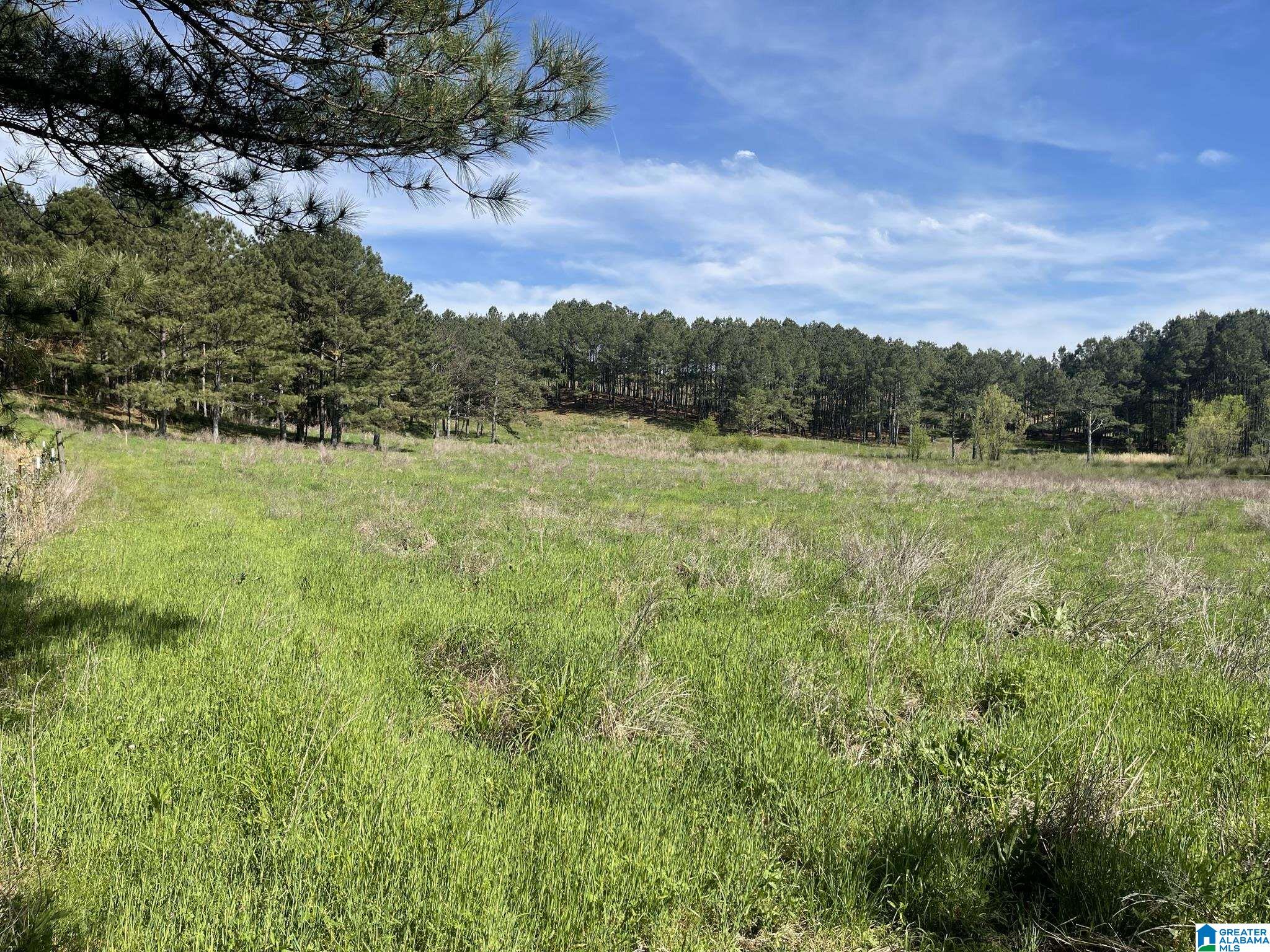 0 BUSBY CUT OFF ROAD 0