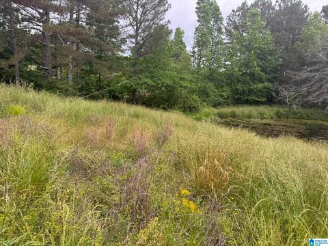 0 BUSBY CUT OFF ROAD 0 NAUVOO AL 35578