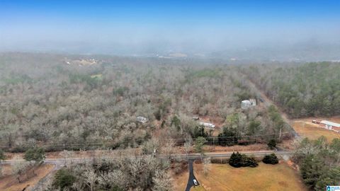 0 FERN CREEK DRIVE 1 SPRINGVILLE AL 35146