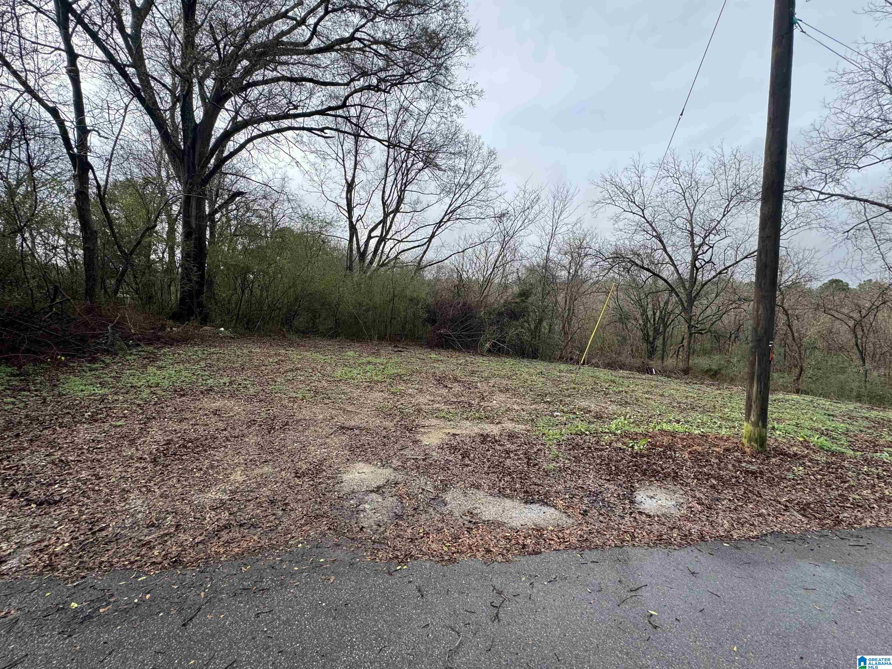 7813 CHURCHILL DRIVE 1