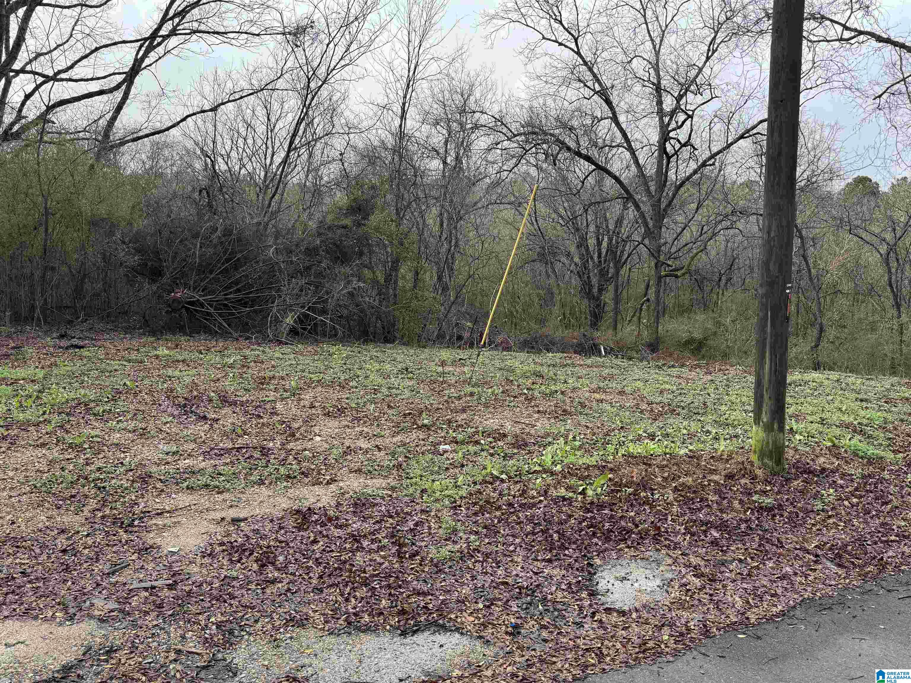 7813 CHURCHILL DRIVE 1