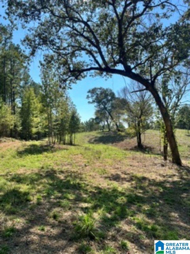 Lot 1 HIGHWAY 42 1