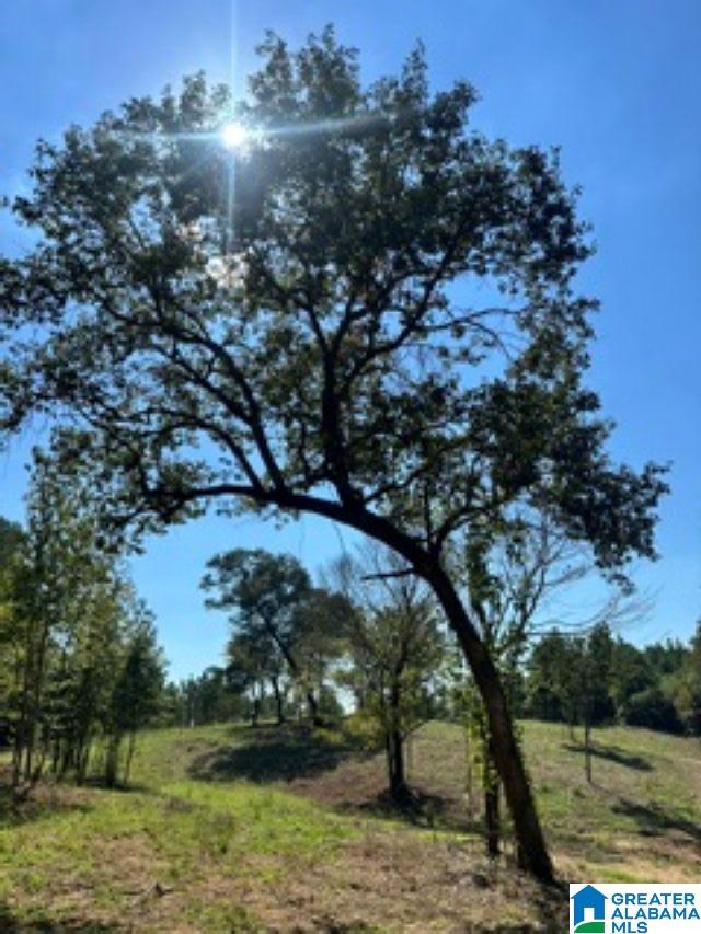 Lot 1 HIGHWAY 42 1