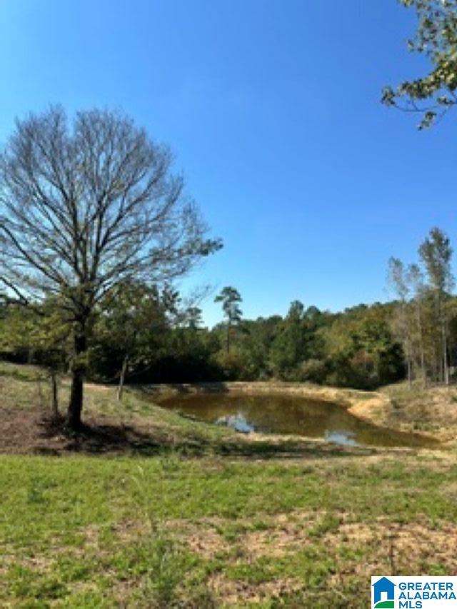 Lot 1 HIGHWAY 42 1