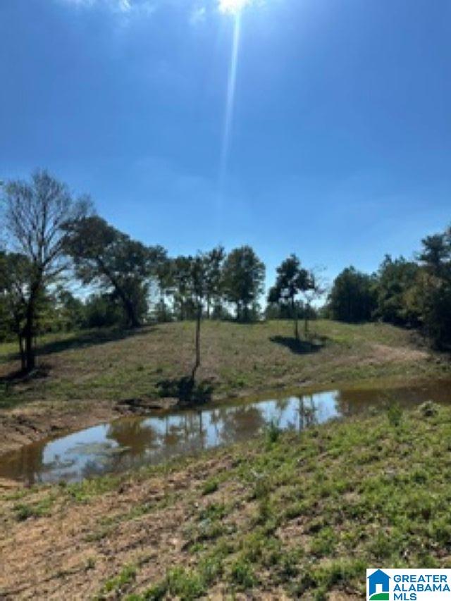 Lot 1 HIGHWAY 42 1