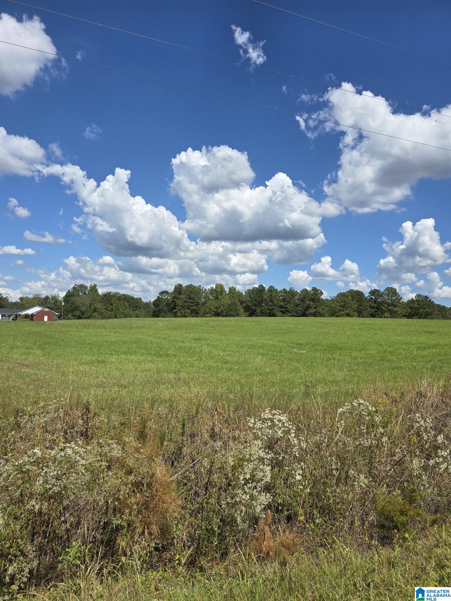 Photo 1 of 5 — 0 HIGHWAY 31 0, JEMISON, AL 35085