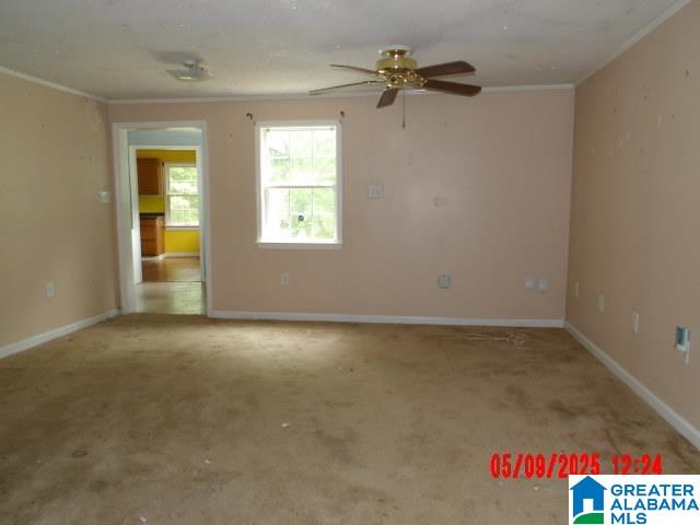 801 RUTLEDGE DRIVE