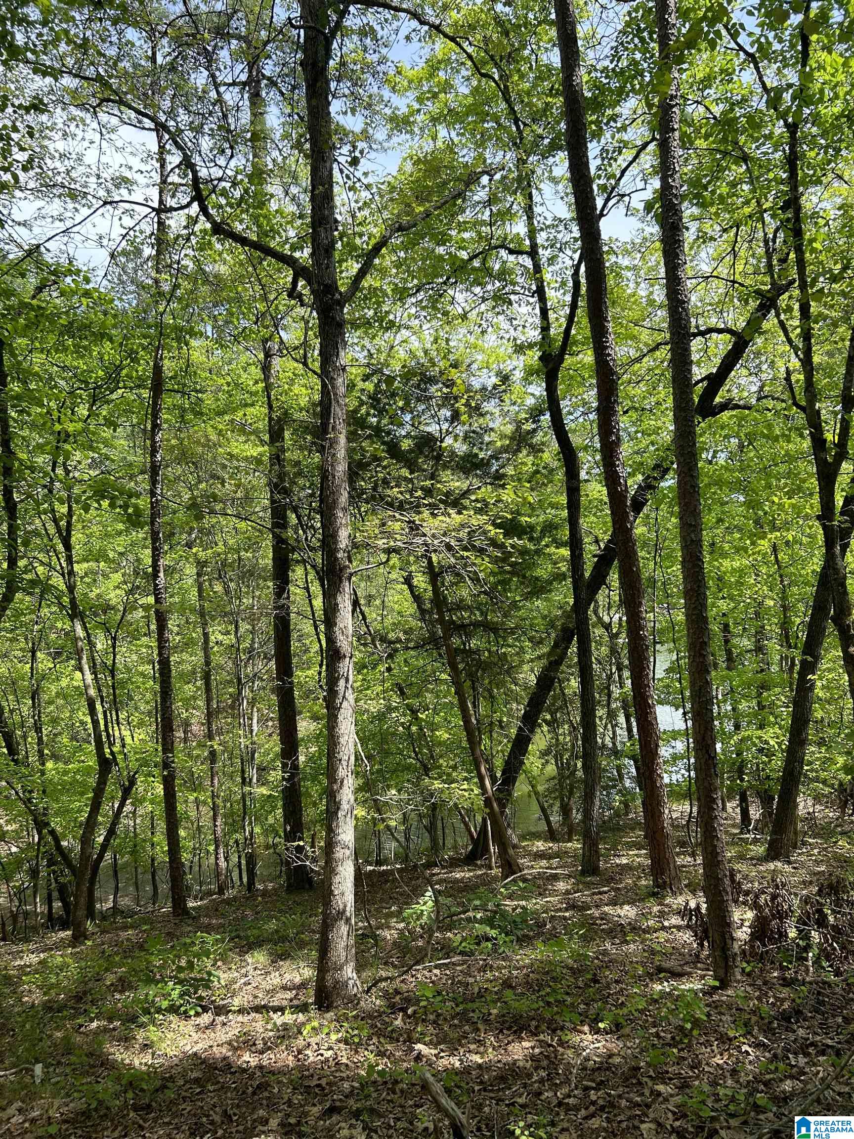Lots 124 RED CEDAR DRIVE 12