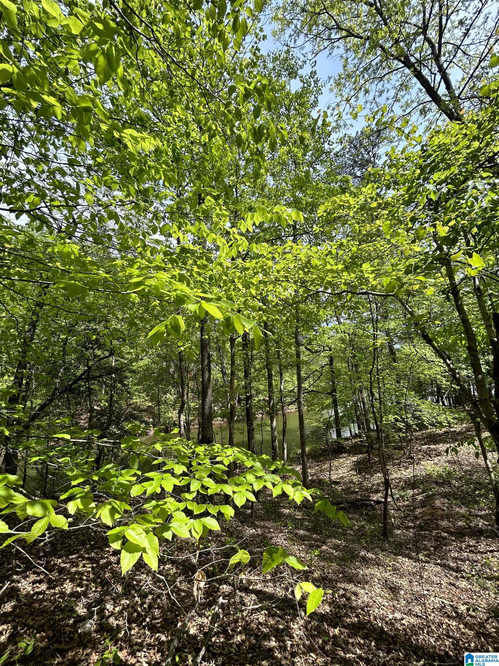 Lots 124 RED CEDAR DRIVE 12