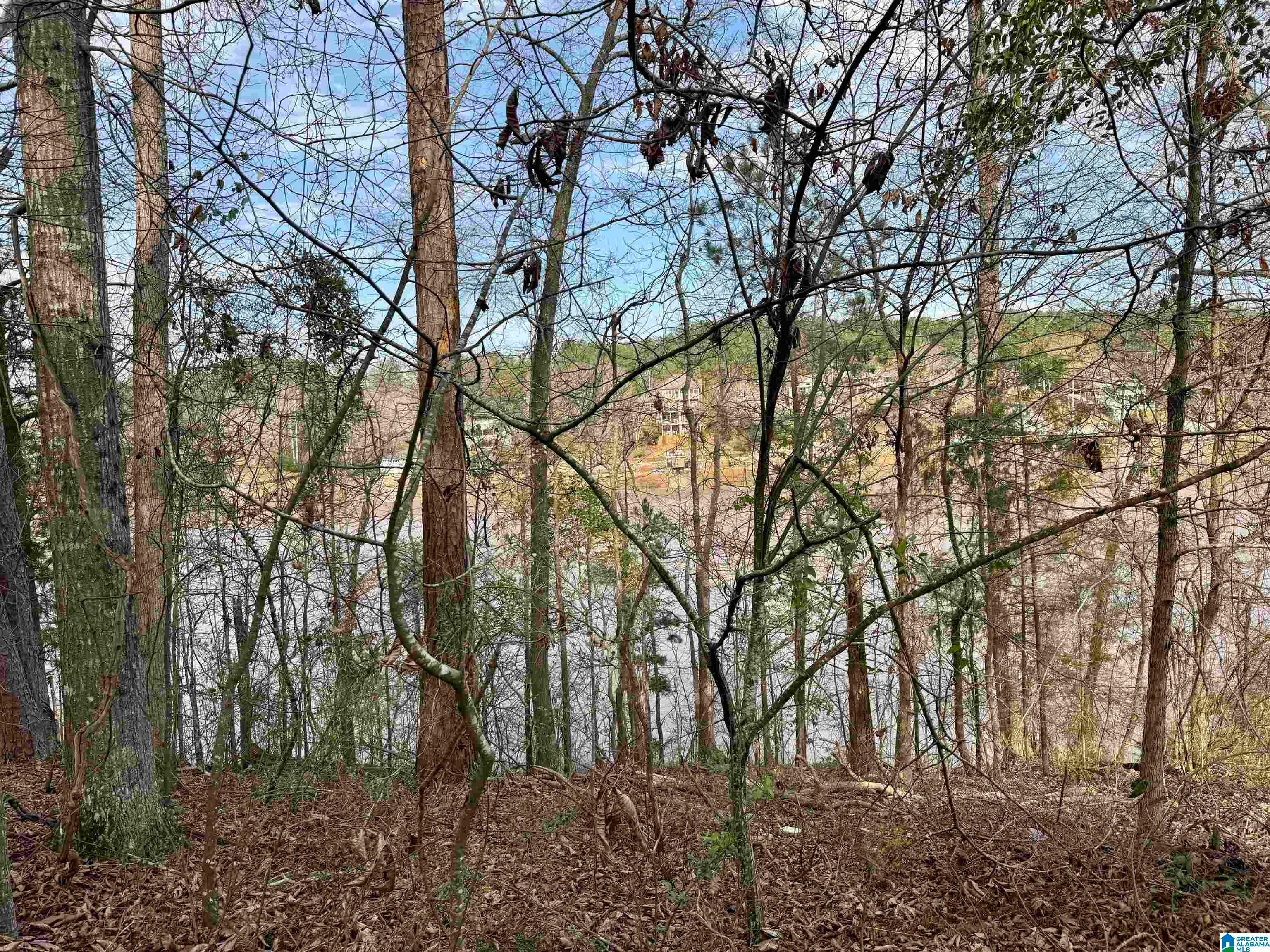 Lot 78 WRIGHT WAY DRIVE 78