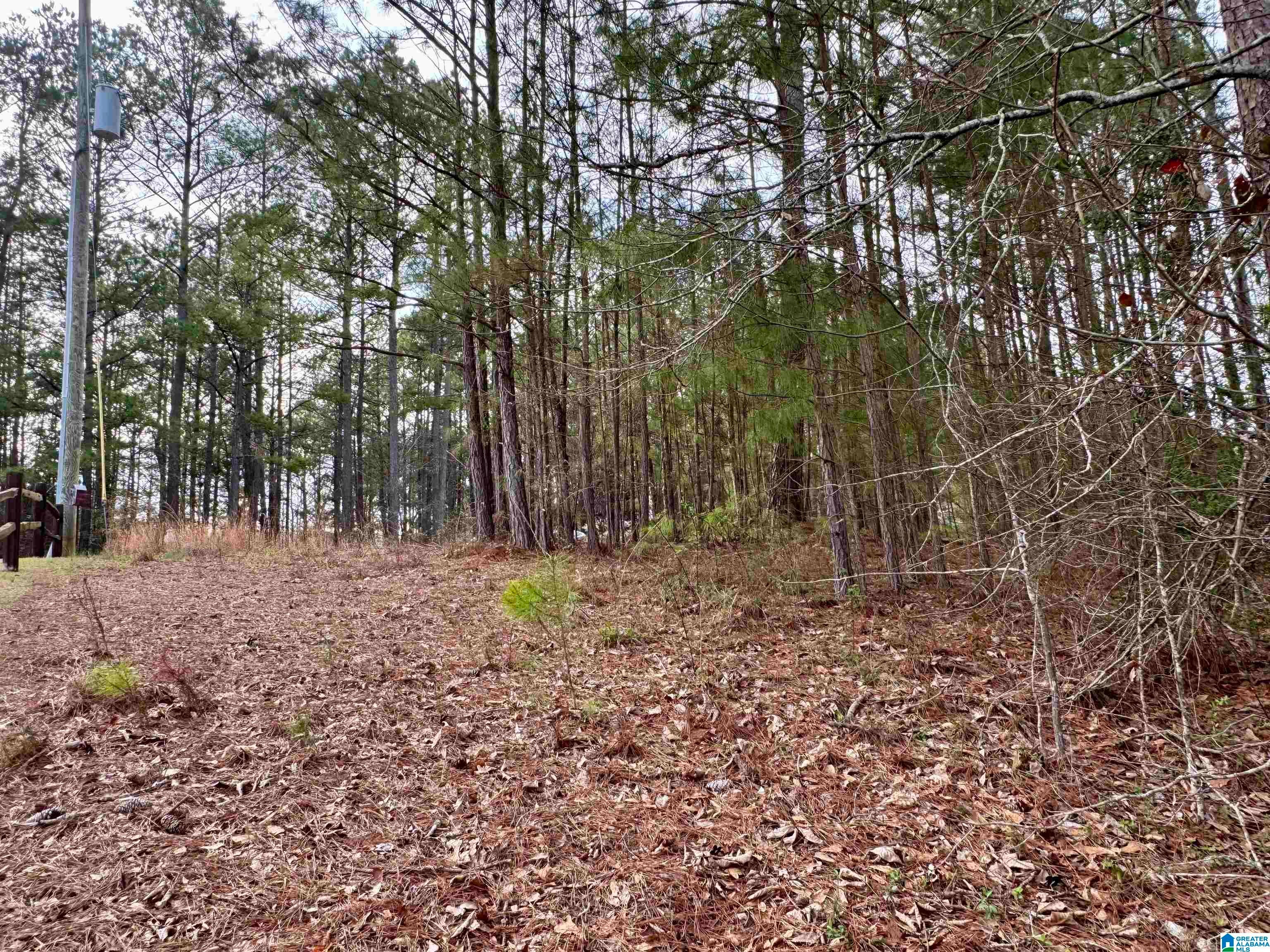 Lot 78 WRIGHT WAY DRIVE 78