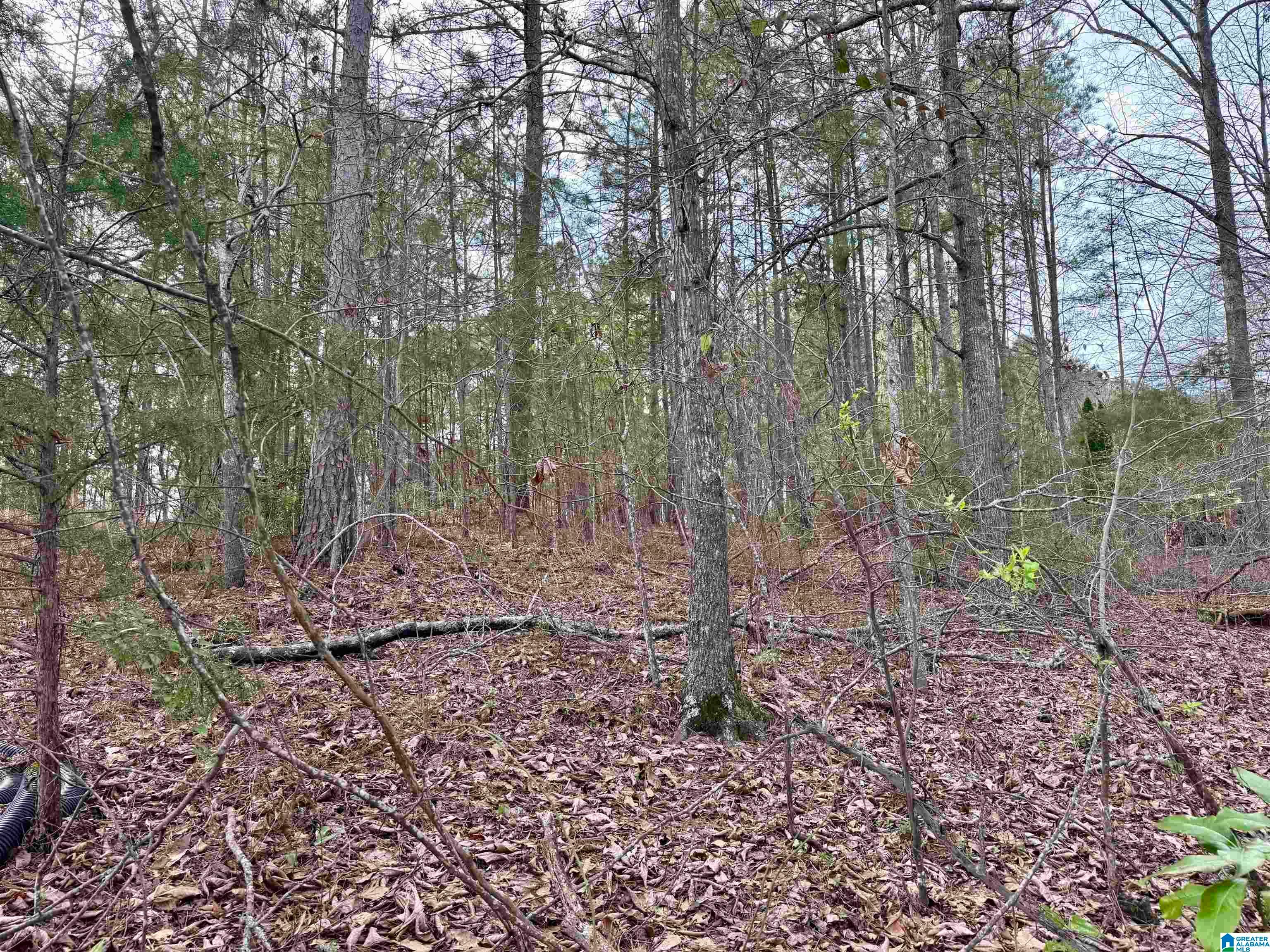Lot 78 WRIGHT WAY DRIVE 78