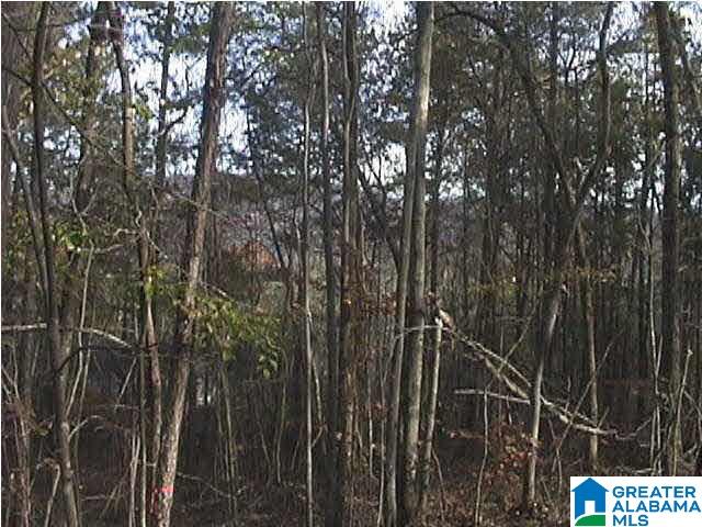 AUTUMN VIEW DRIVE LOT 35