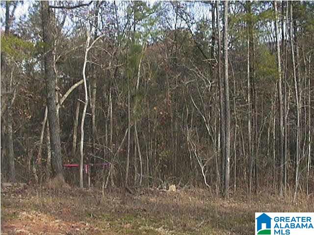 AUTUMN VIEW DRIVE LOT 35