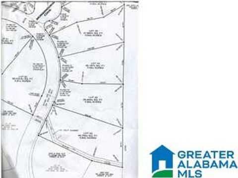 AUTUMN VIEW DRIVE LOT 35 CHELSEA AL 35147