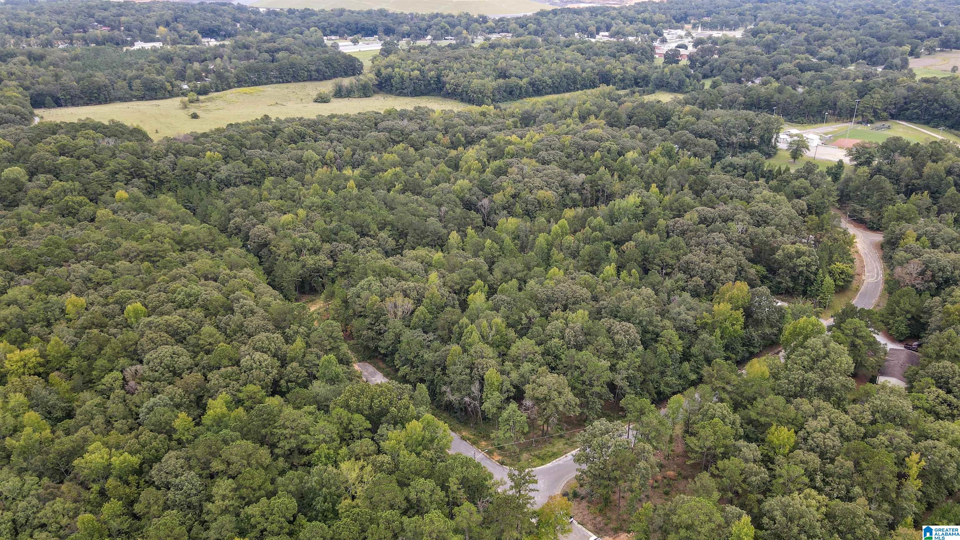 442 DAVIS STREET 19.4 acres