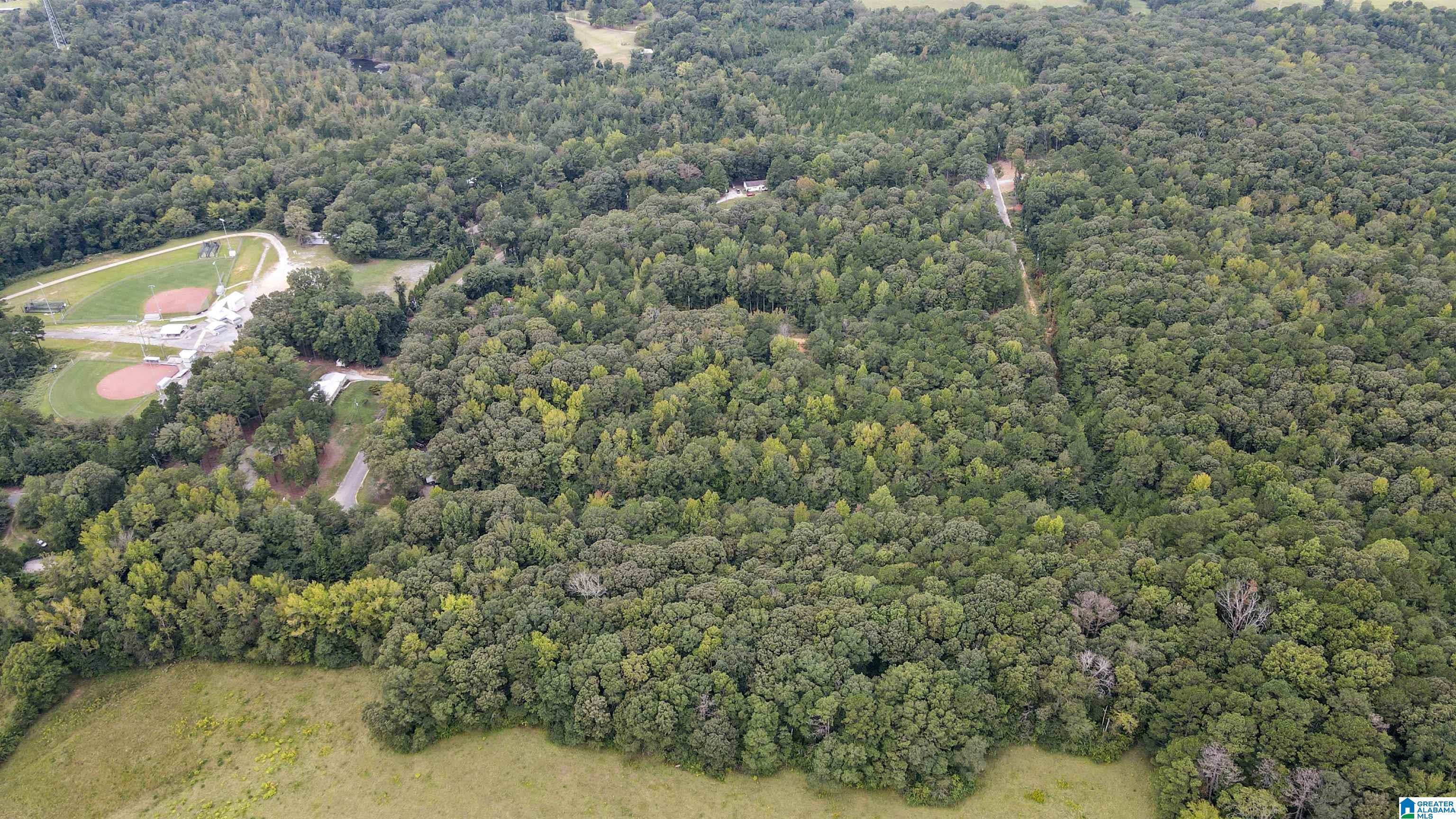 442 DAVIS STREET 19.4 acres