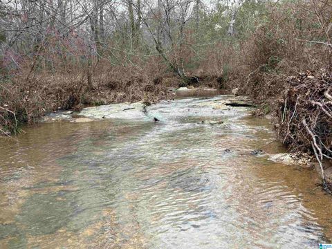 0 MIMS FERRY ROAD 1 CLANTON AL 35046