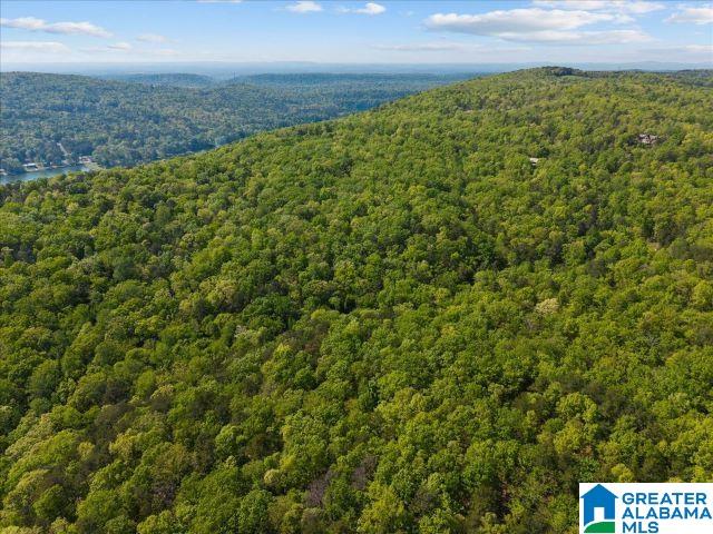 8810 PINE MOUNTAIN ROAD 0