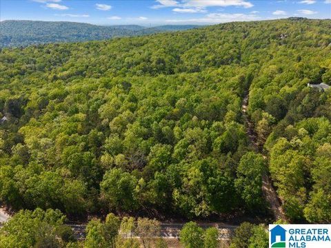 8810 PINE MOUNTAIN ROAD 0 PINSON AL 35126