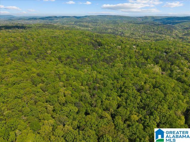 8810 PINE MOUNTAIN ROAD 0