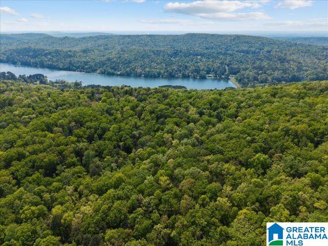 8810 PINE MOUNTAIN ROAD 0