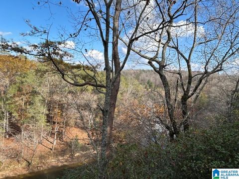 4.15 acres N HAGLER ROAD 3 NORTHPORT AL 35475