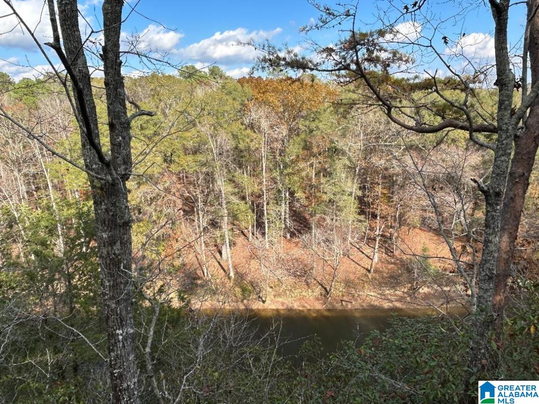 4.15 acres N HAGLER ROAD 3