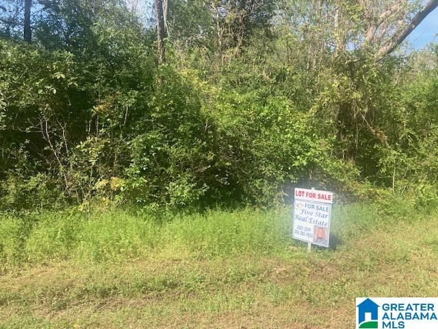 Photo 1 of 3 — 63 JOHNSON DRIVE 63, BESSEMER, AL 35023