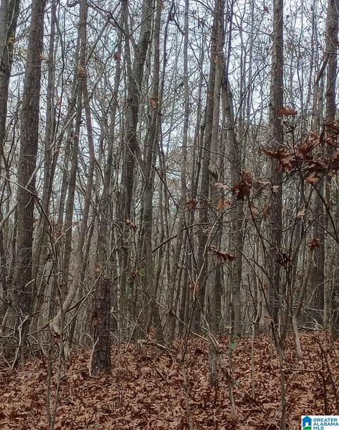 COUNTY HIGHWAY 26 2 or 3 acres BLOUNTSVILLE AL 35031