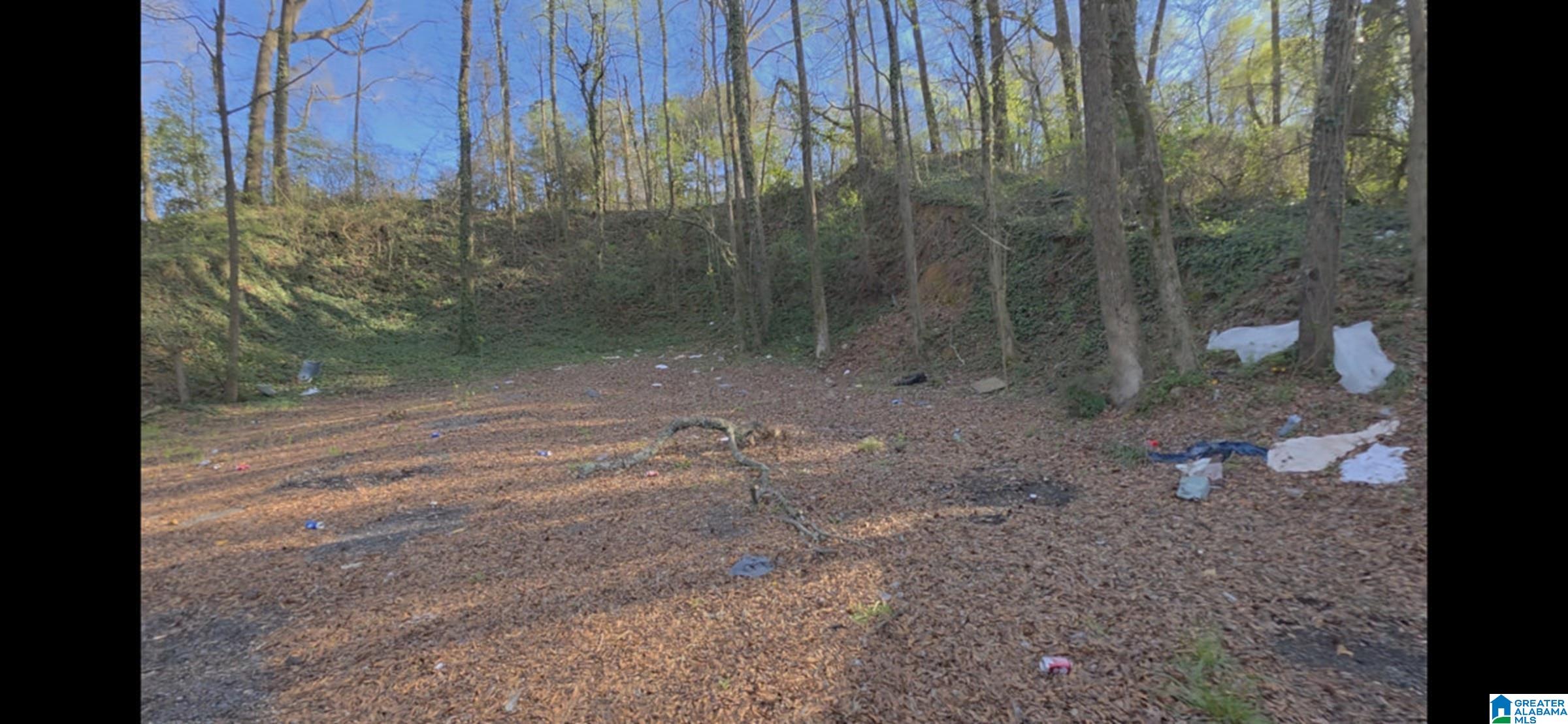 Photo 1 of 5 — 6409 GEORGIA ROAD, BIRMINGHAM, AL 35212