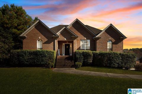 513 SUNSET LAKE LANE CHELSEA AL 35043