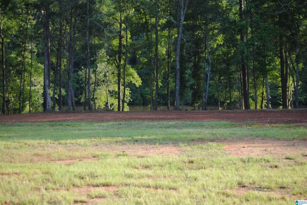 4TH ST, TALLASSEE, AL 36078 - Image 9817e1f4a3a5cabcca9236bc0a4dfdb4/3554246794
