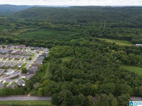 4950 US HIGHWAY 11 SPRINGVILLE AL 35146