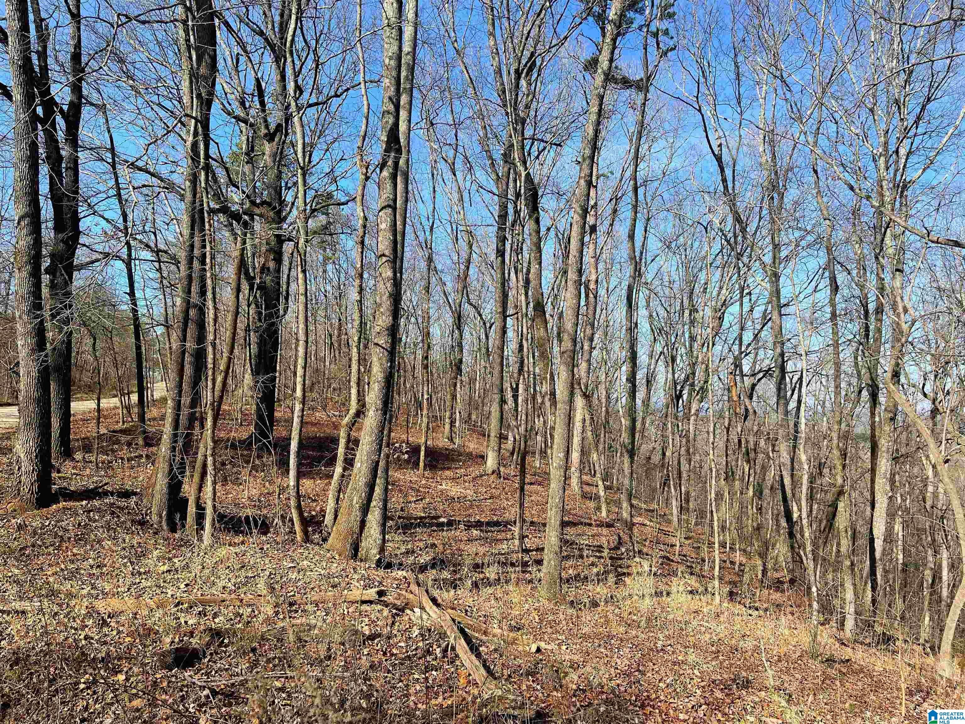 0 COUNTY ROAD 852 1