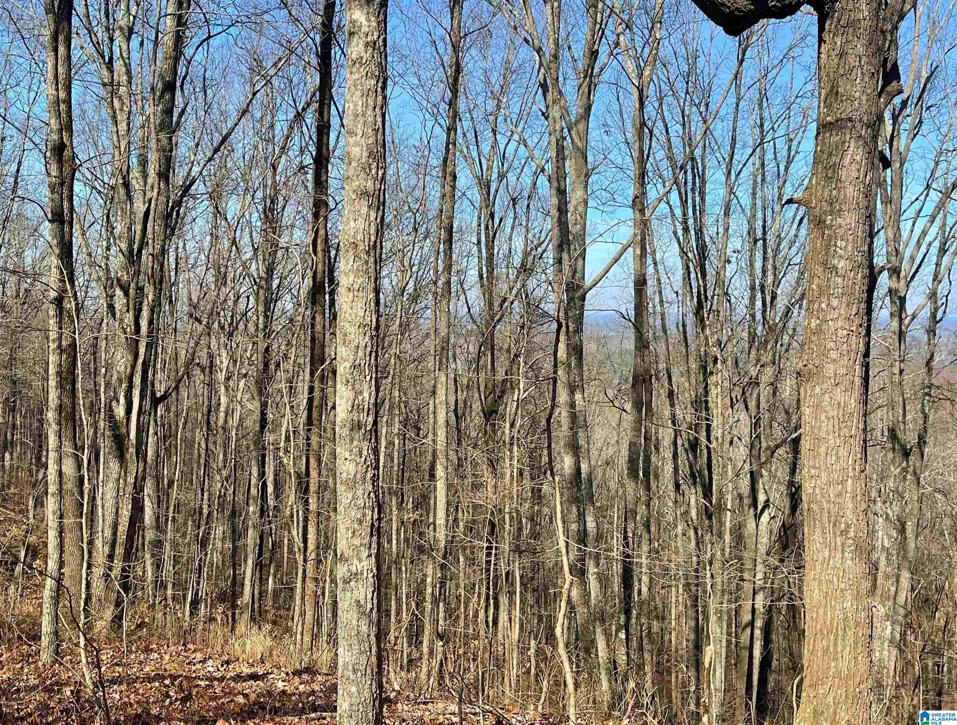 0 COUNTY ROAD 852 1