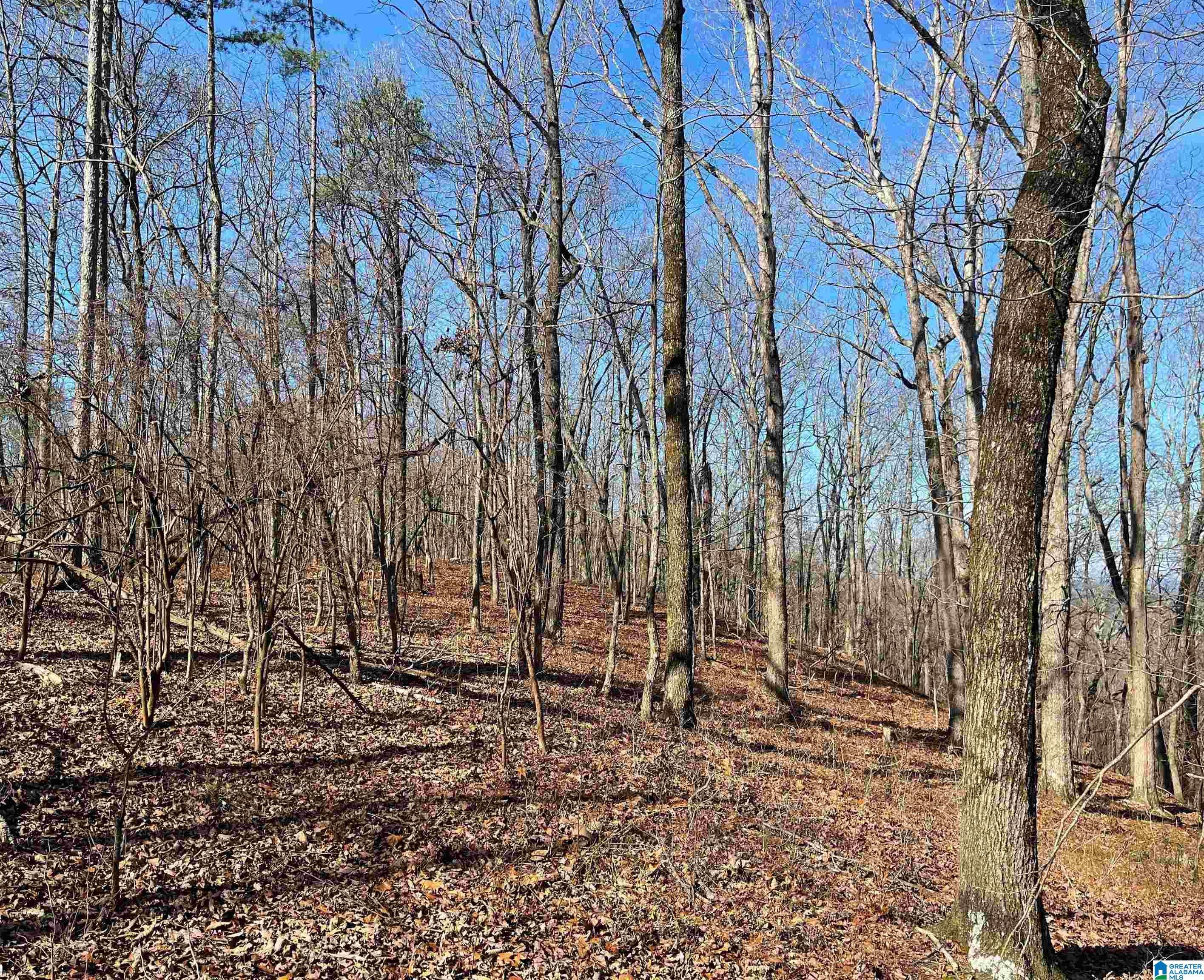 0 COUNTY ROAD 852 1