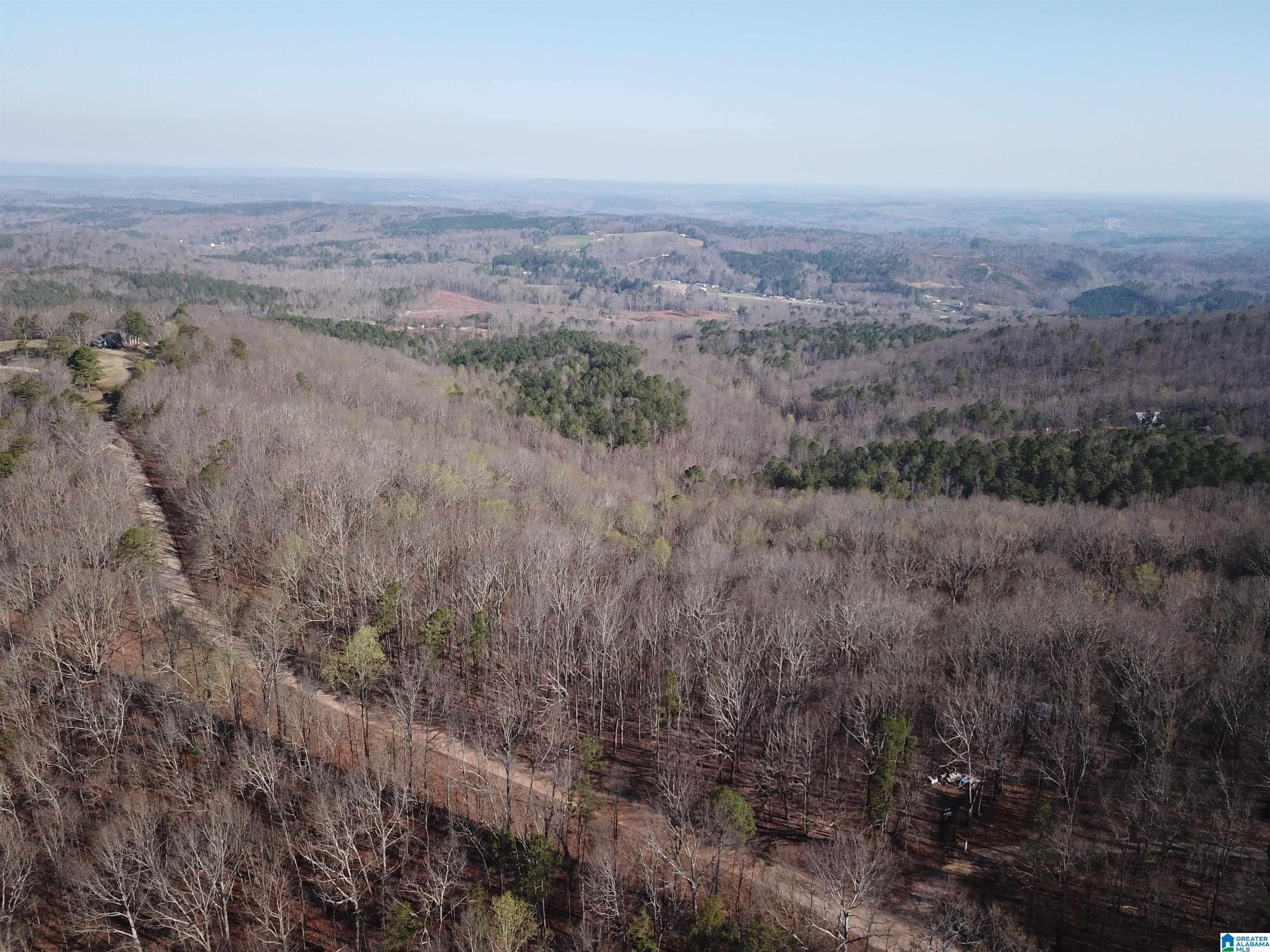 0 COUNTY ROAD 852 1